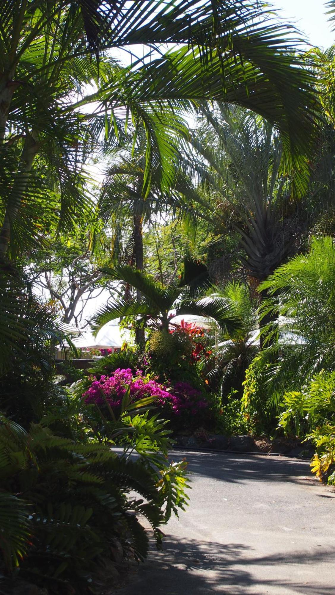 Palm Bay Resort Long Island Dış mekan fotoğraf